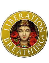 LB_logo